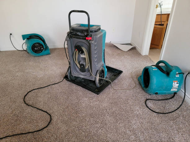 Best Water damage contractors near me  in Redmond, OR
