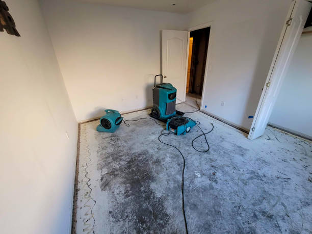 Water damage restoration insurance claims in OR