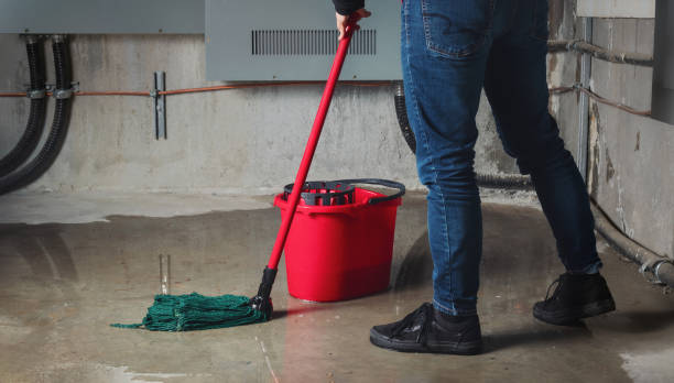 Best Professional water damage repair  in Redmond, OR
